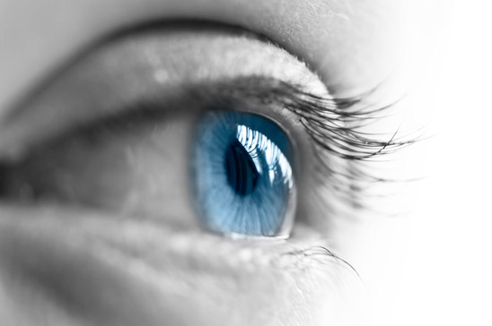 Layout und Bildbearbeitung